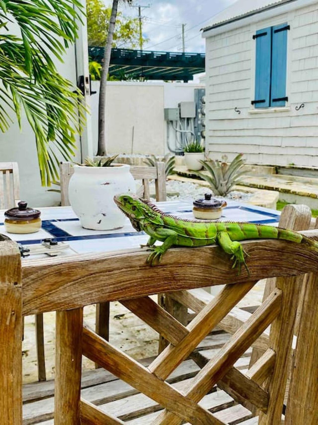 The Danish Nydam - A Sailors Mooring Apartment Christiansted Exterior photo